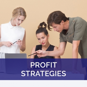 Profit Strategies for Business video series