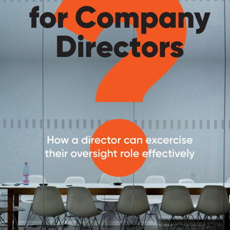 Questions for Company Directors ebook